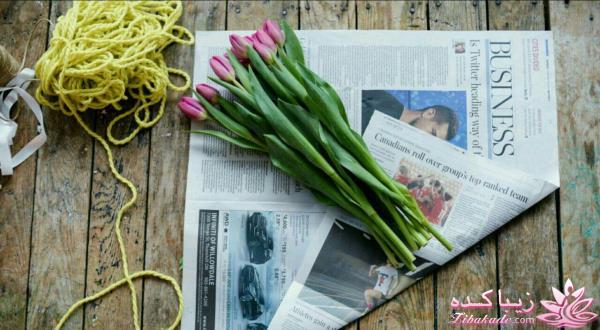 گیاهان آپارتمانی 